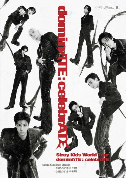 Beyond LIVE - Stray Kids World Tour〈dominATE : celebrATE〉