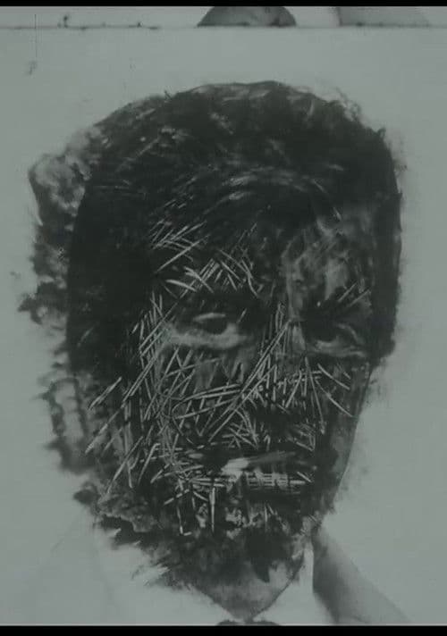 Le Petit Chaperon Rouge