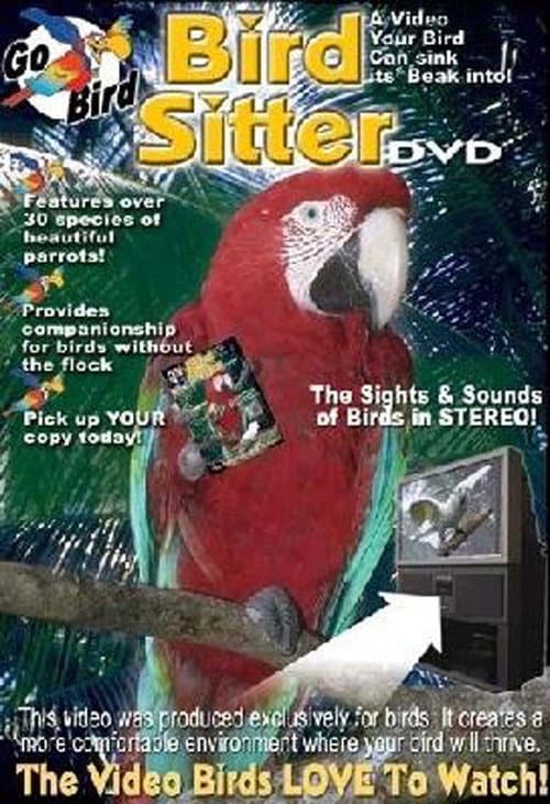 Bird Sitter
