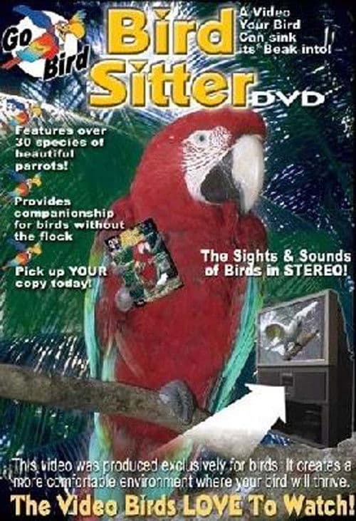 Bird Sitter