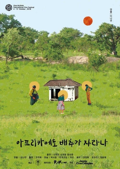 아프리카에도 배추가 자라나?