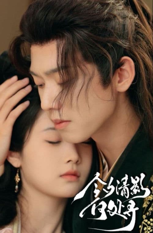 今夕清影何处寻