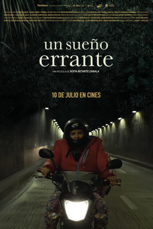 Un sueño errante