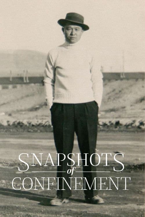 Snapshots of Confinement