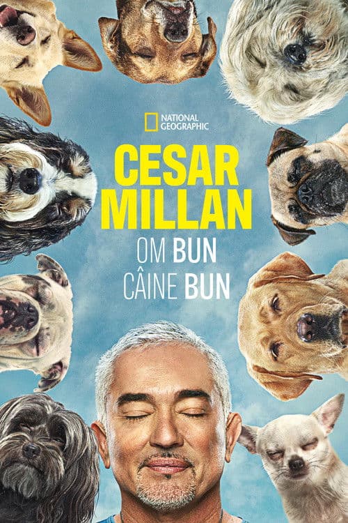 Cesar Millan: Better Human, Better Dog
