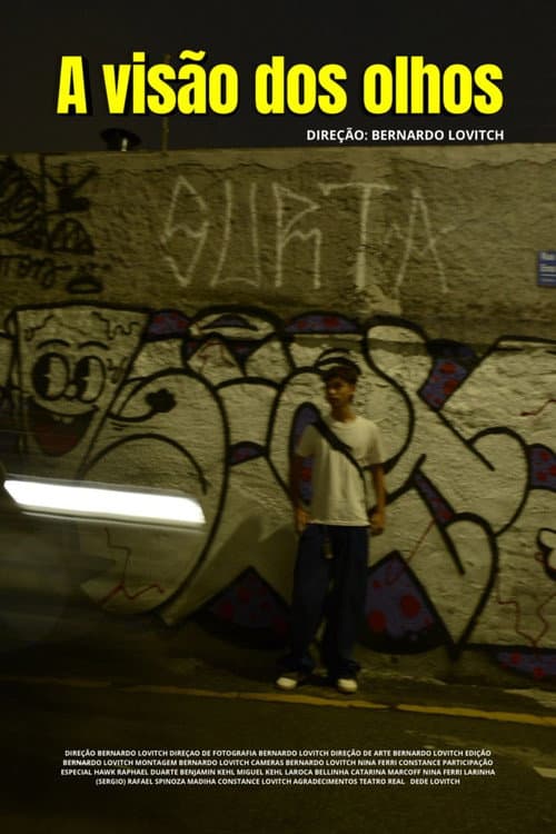 A Visão dos Olhos