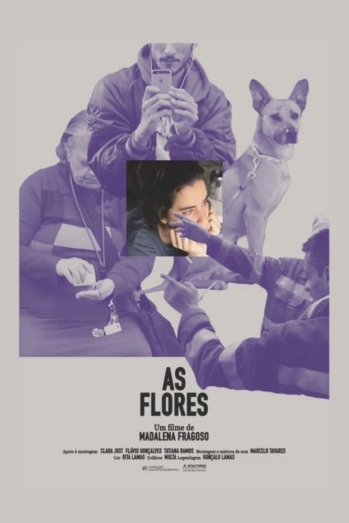 As Flores