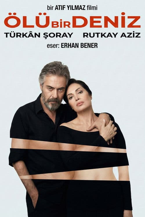 Ölü Bir Deniz