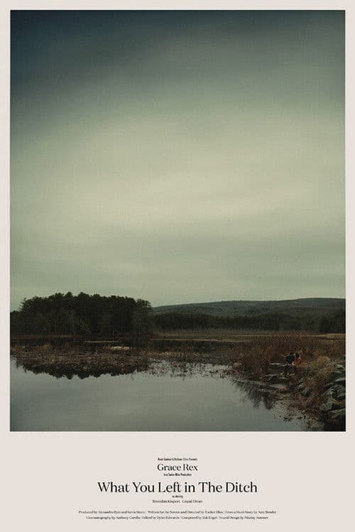 What You Left in the Ditch