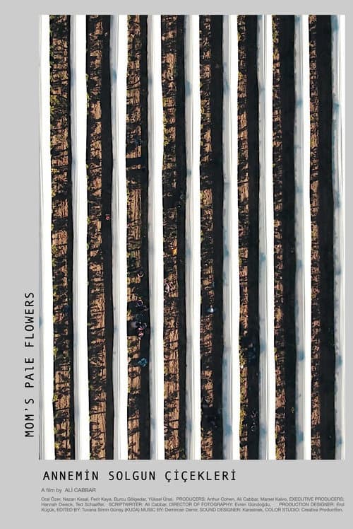 Annemin Solgun Çiçekleri