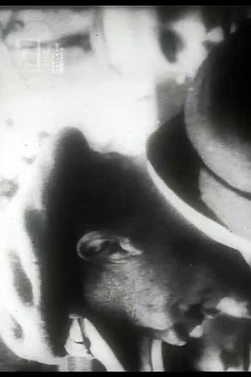 Uns mahnt ein November