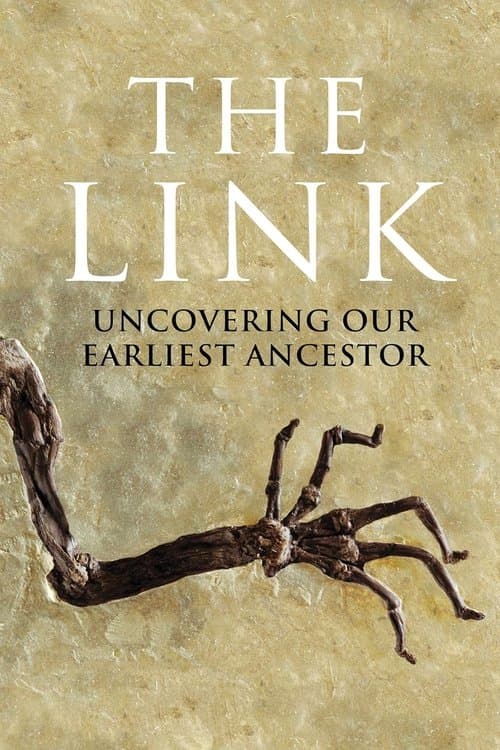 Uncovering Our Earliest Ancestor: The Link