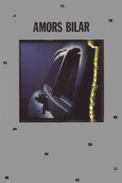 Amors bilar