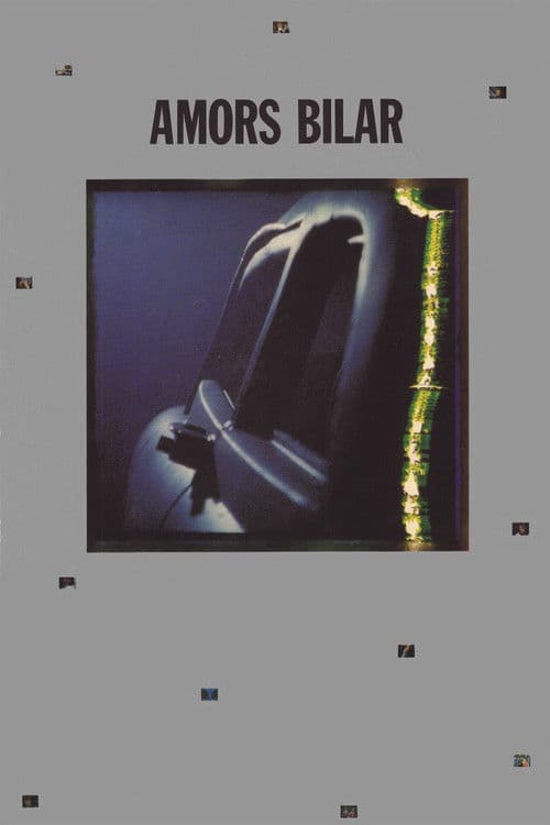 Amors bilar