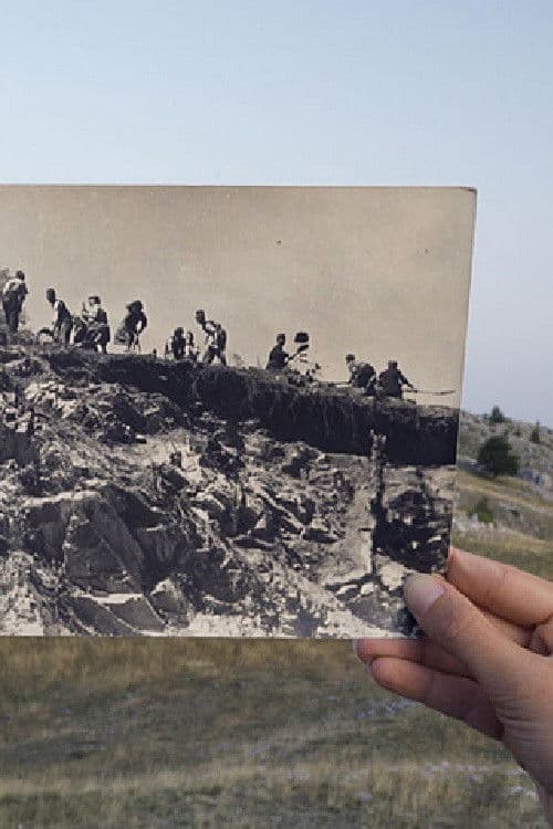 Obzornik 242 - Sunčane pruge