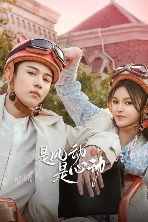 是风动、是心动