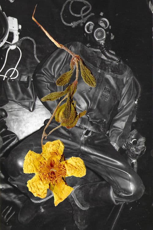 Les Fantômes du hard