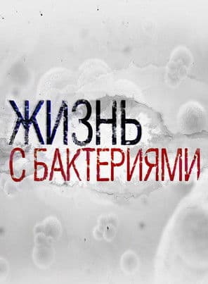 Жизнь с бактериями