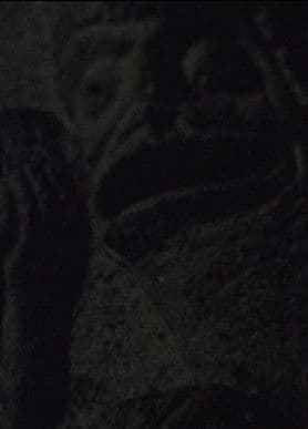 Forms Are Not Self-Subsistent Substances