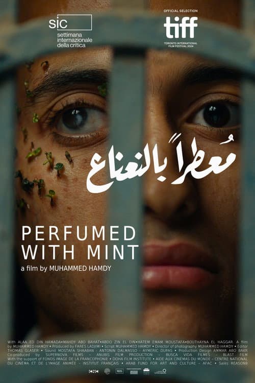 معطر بالنعناع