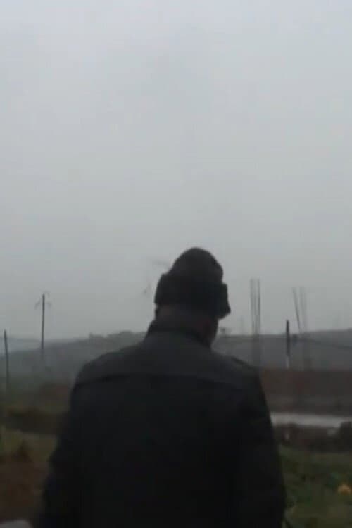 双井, 我是你的孙子