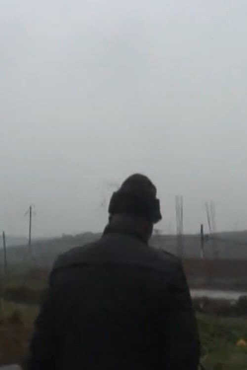 双井, 我是你的孙子