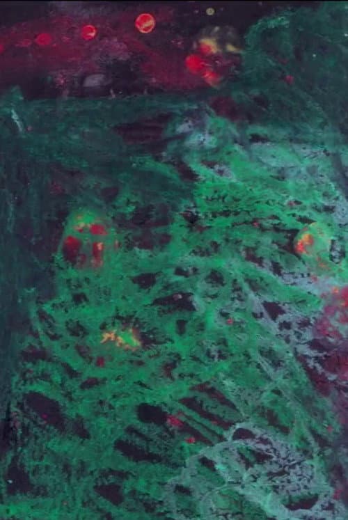 Ora