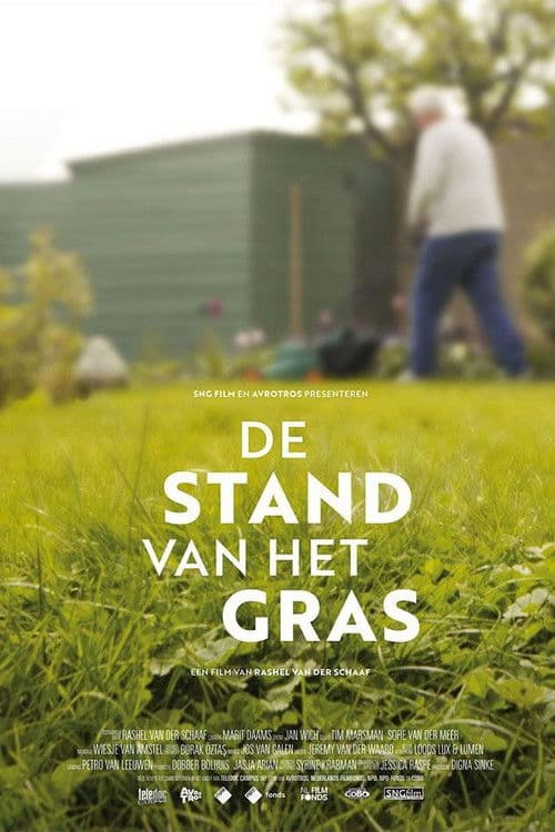 De stand van het gras