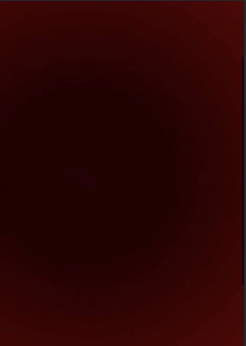 Wounds and Other Absent Objects