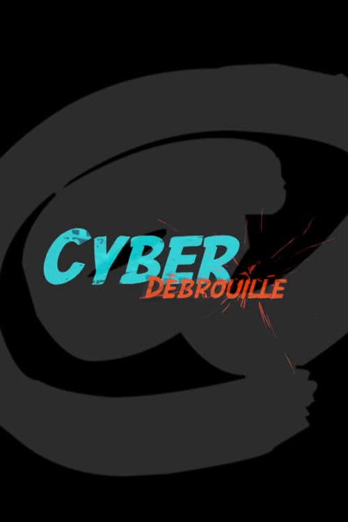 Cyberdebrouille