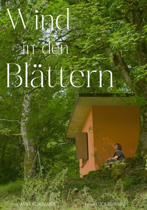 Wind in den Blättern
