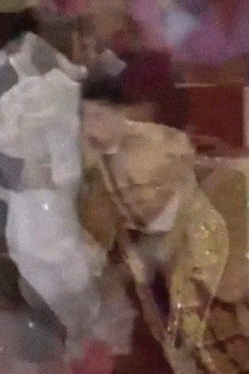 Haiku Flamenco Haiku