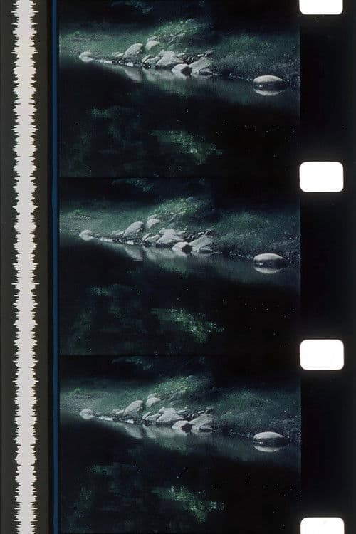 Rivers of Darkness / Rivers of Light