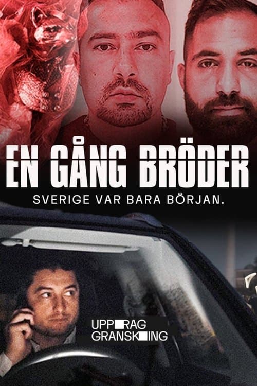 Uppdrag Granskning : En gång bröder