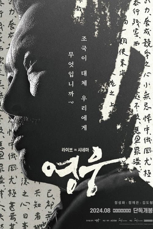 영웅: 라이브 인 시네마