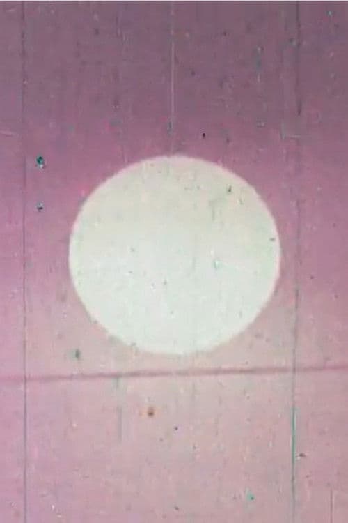 Wandering Through Winter