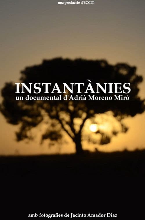 Instantànies