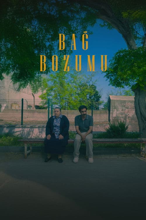 Bağ Bozumu