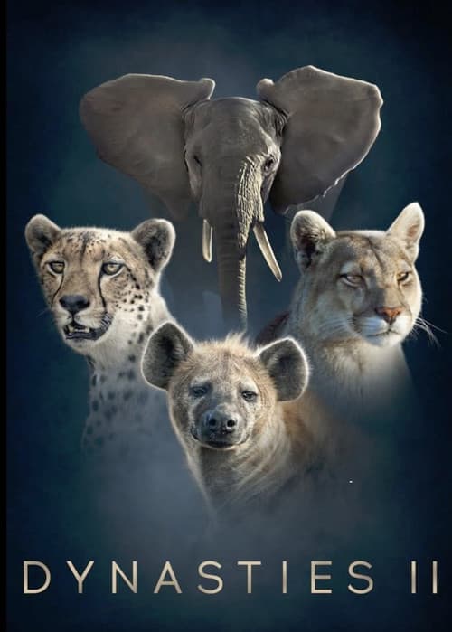 Dynasties II