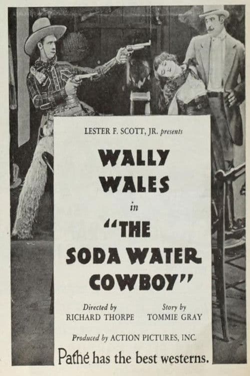 The Soda Water Cowboy