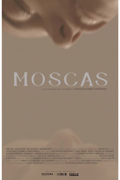 Moscas