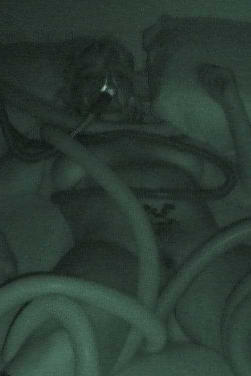 Raskošno ljeto 2019