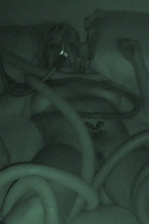 Raskošno ljeto 2019