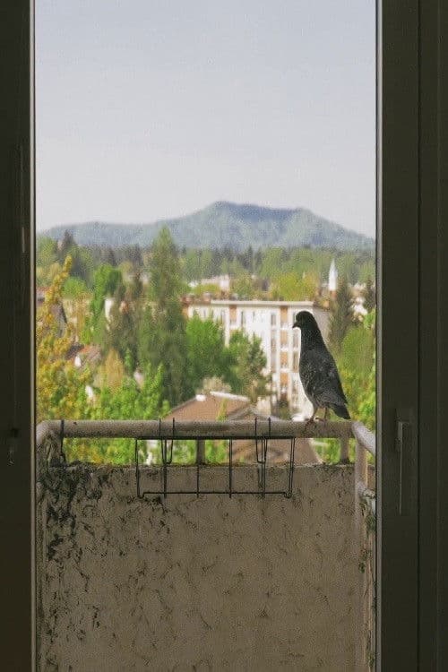 Kateri dan sploh je?