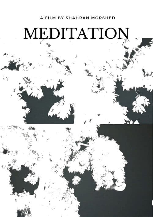 Meditation
