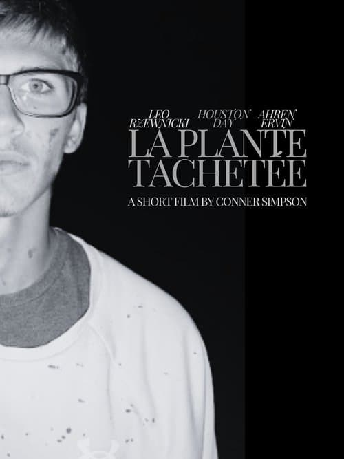 La Plante Tachetée