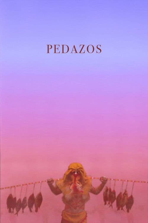Pedazos