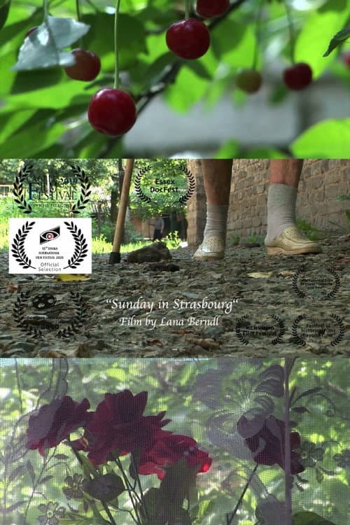 Sunday in Strasbourg