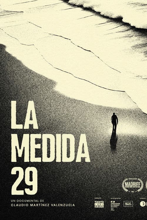 La medida 29