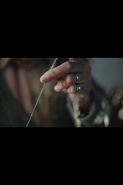 El camino de la lana